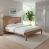 Sorolla Queen Size Double Bed (HD-QBD-003)